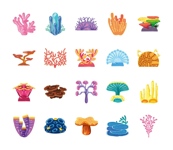 Conjunto de arrecifes de corales — Vector de stock