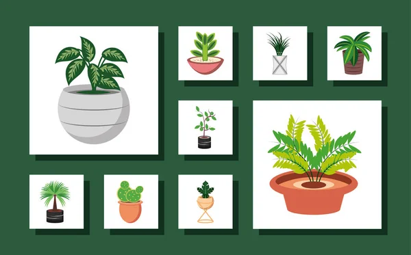 Που πράσινο φυτό σε γλάστρα — Διανυσματικό Αρχείο