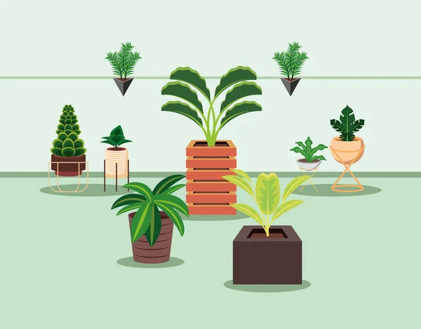 Plantas de interior jardín naturaleza — Vector de stock