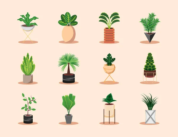 Iconen potplanten — Stockvector