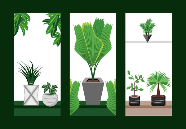 Banners decoración plantas de interior — Vector de stock