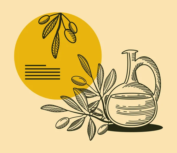 Olio d'oliva e rami — Vettoriale Stock