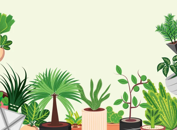 Potted plants foliage — Stock Vector