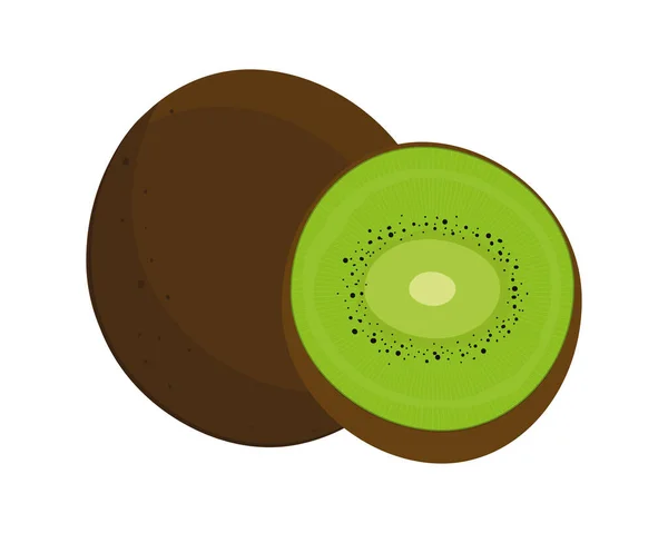 Kiwi fruta fresca — Vector de stock