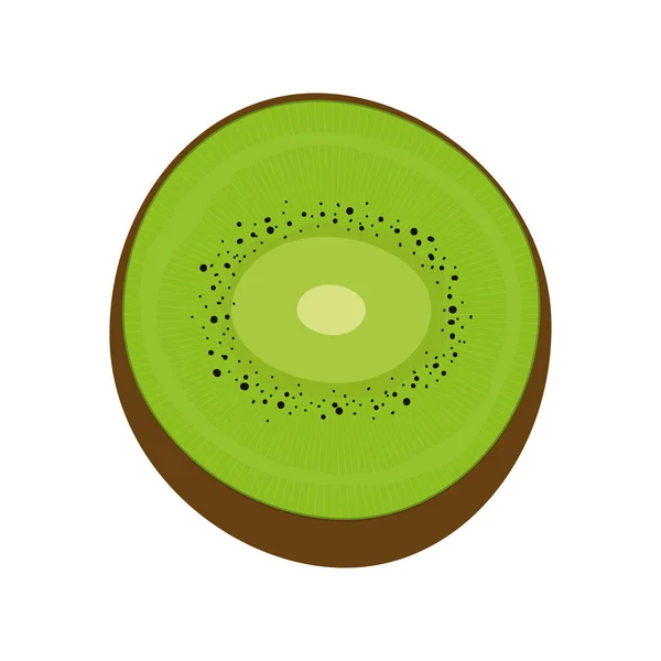 Kiwi tropical halk — Vector de stock