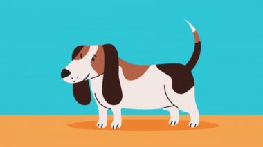 Şirin köpek maskotu karakter animasyonu