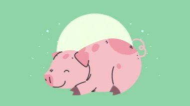 Tatlı domuz maskotu uyku animasyonu