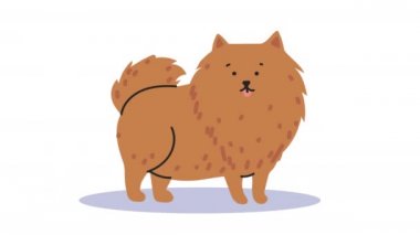 Şirin köpek maskotu ayakta animasyon