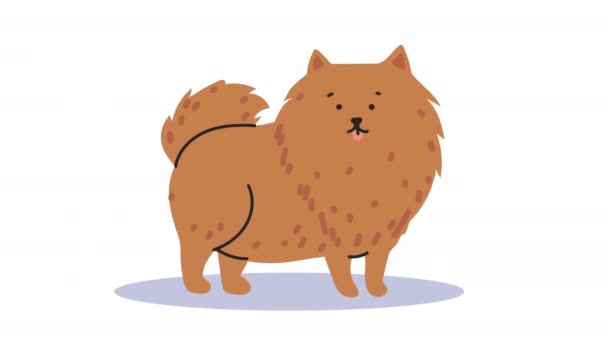 Lindo perro mascota de pie animación — Vídeo de stock