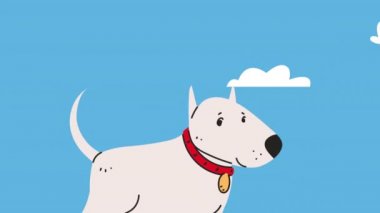 Şirin köpek maskotu sahne animasyonu