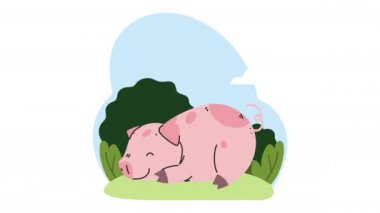 Kamp animasyonunda uyuyan sevimli domuz.