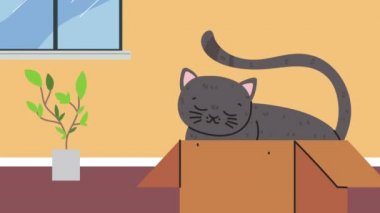 Kutu evindeki sevimli kedi maskotu.