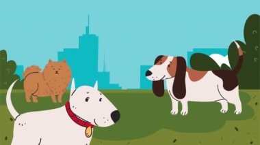 Üç sevimli köpek maskotu animasyonu