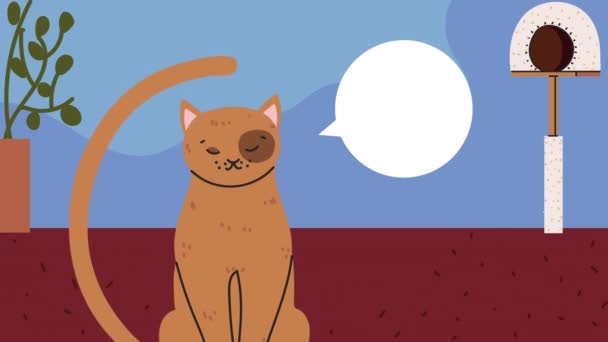 Lindo gato hablando mascota animación — Vídeo de stock