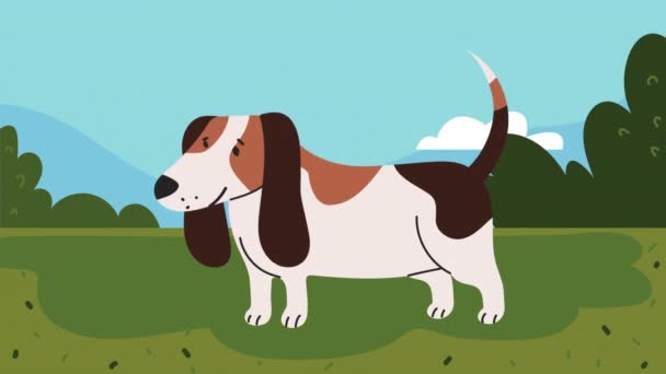 Mascota perro lindo en la animación de hierba — Vídeos de Stock