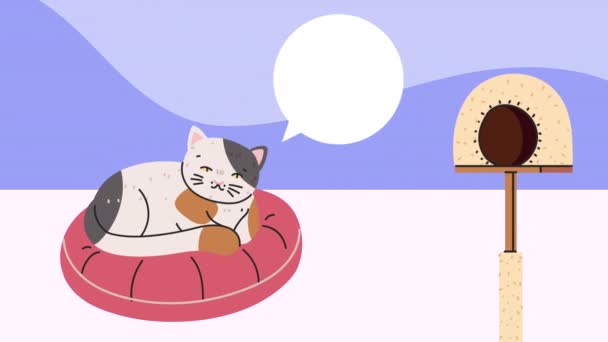 Милый кот спит с анимацией речевого пузыря — стоковое видео