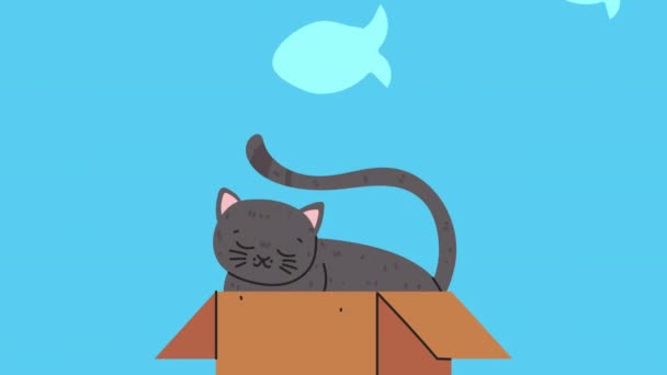 Lindo gato y peces patrón de animación — Vídeo de stock