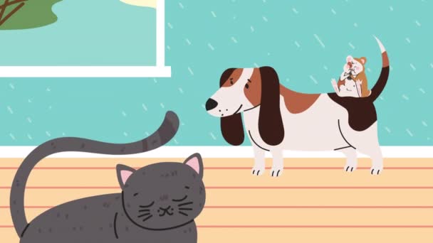 Собака с кошкой и хомяком анимация — стоковое видео