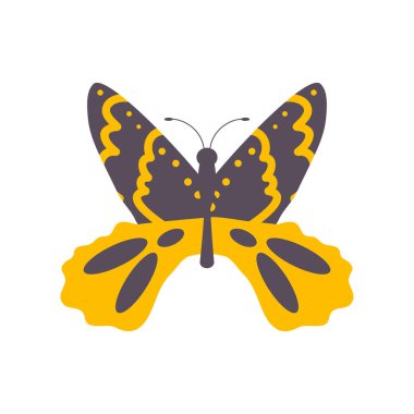 Kelebek vahşi yaşam hayvanı