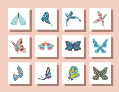 Kelebekler Icons set