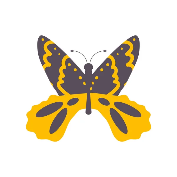 Butterfly wildlife animal — Stock vektor