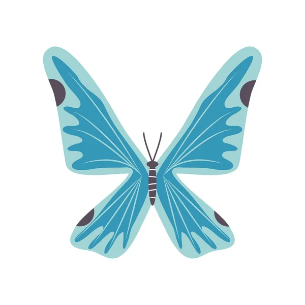 Icono mariposa azul — Vector de stock