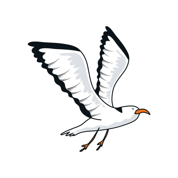 Flying seagull bird — Stock Vector