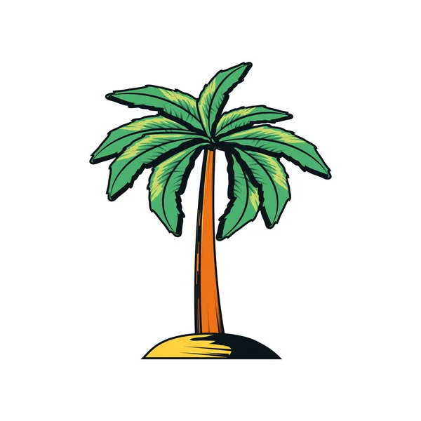Tropical plam tree — Vetor de Stock