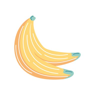 muz tropikal meyvesi