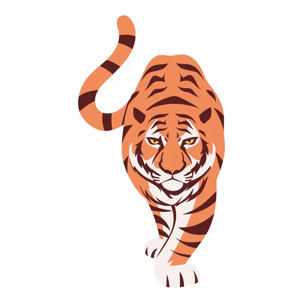 Tigre Vista frontal — Vector de stock