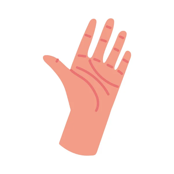 Ανθρώπινο χέρι επάνω — Διανυσματικό Αρχείο