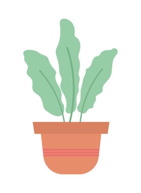 saksı bitkisi dekorasyonu