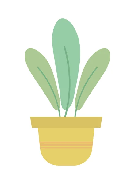 Krukväxter blad dekoration — Stock vektor