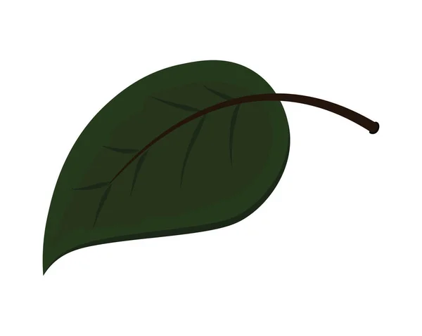 Icono de hoja verde — Vector de stock