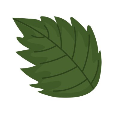 yeşil yaprak yaprakları