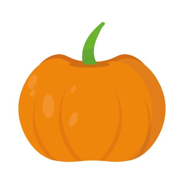 Pumpkin vegetable icon — Stock Vector