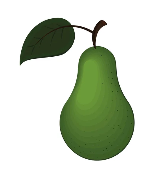 Whole avocado icon — Stock vektor