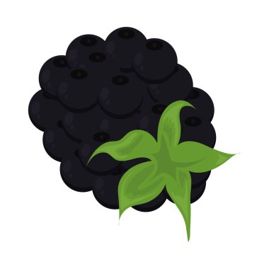 Blackberry simgesi düz