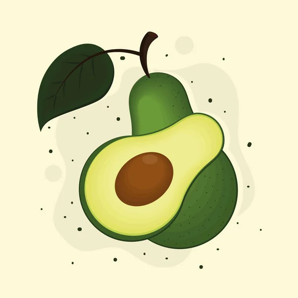 Avocadofrucht und Blatt — Stockvektor