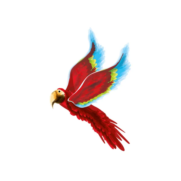 Arapagáj madár akvarell — Stock Vector