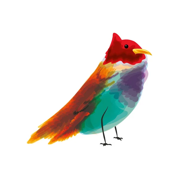 Schattig vogel aquarel — Stockvector