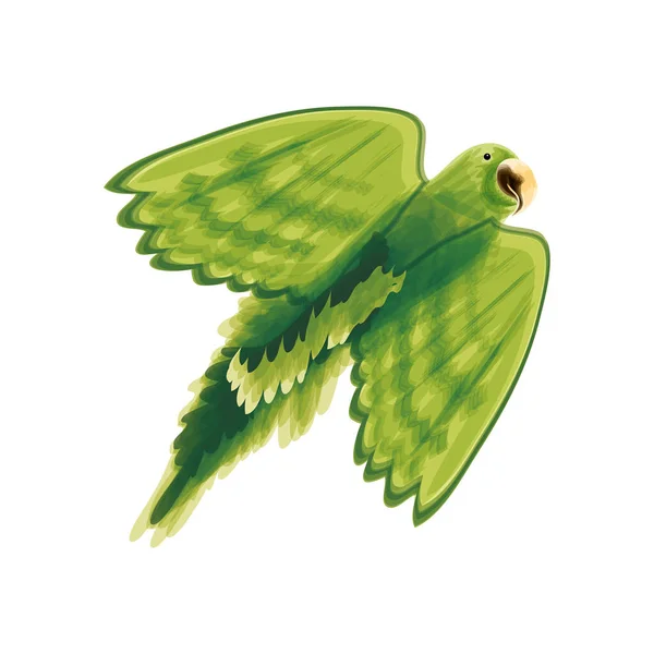 Loro pájaro acuarela — Vector de stock