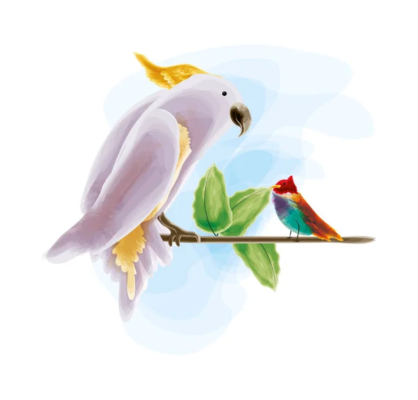 Cacatua e uccello — Vettoriale Stock