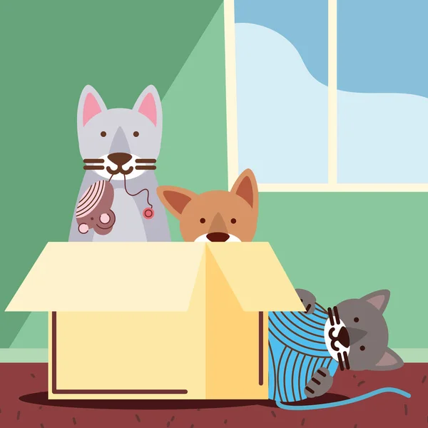 Animaux chats jouer avec la boîte — Image vectorielle