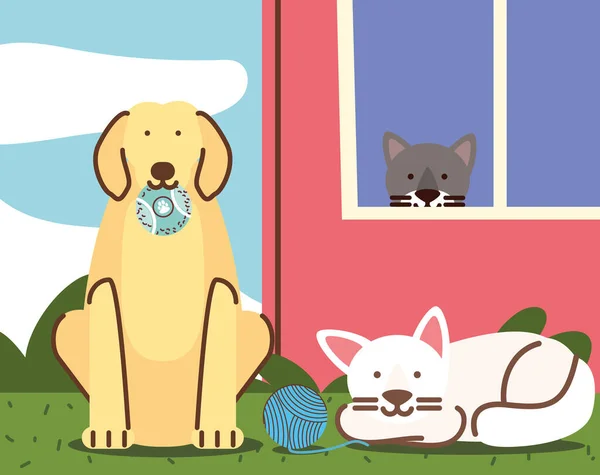 Huisdieren met speelgoed — Stockvector