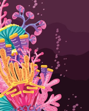 mercan resifi yaban hayatı