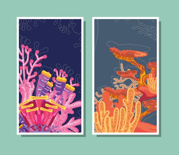 Banners with corals — Stock Vector