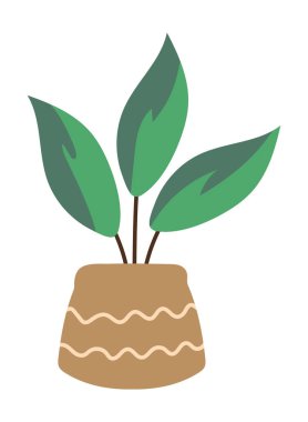 Saksı bitkisi süslemesi