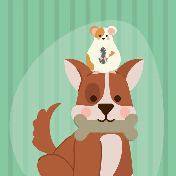 Pets dog and hamster — Stock Vector