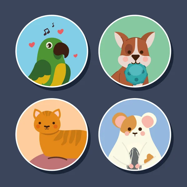 Mascotas iconos redondos — Archivo Imágenes Vectoriales